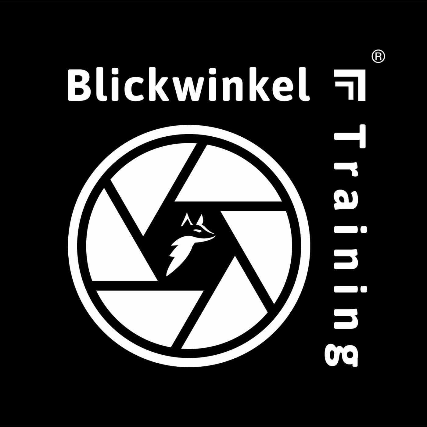 "Blickwinkel" - Paket - Deal